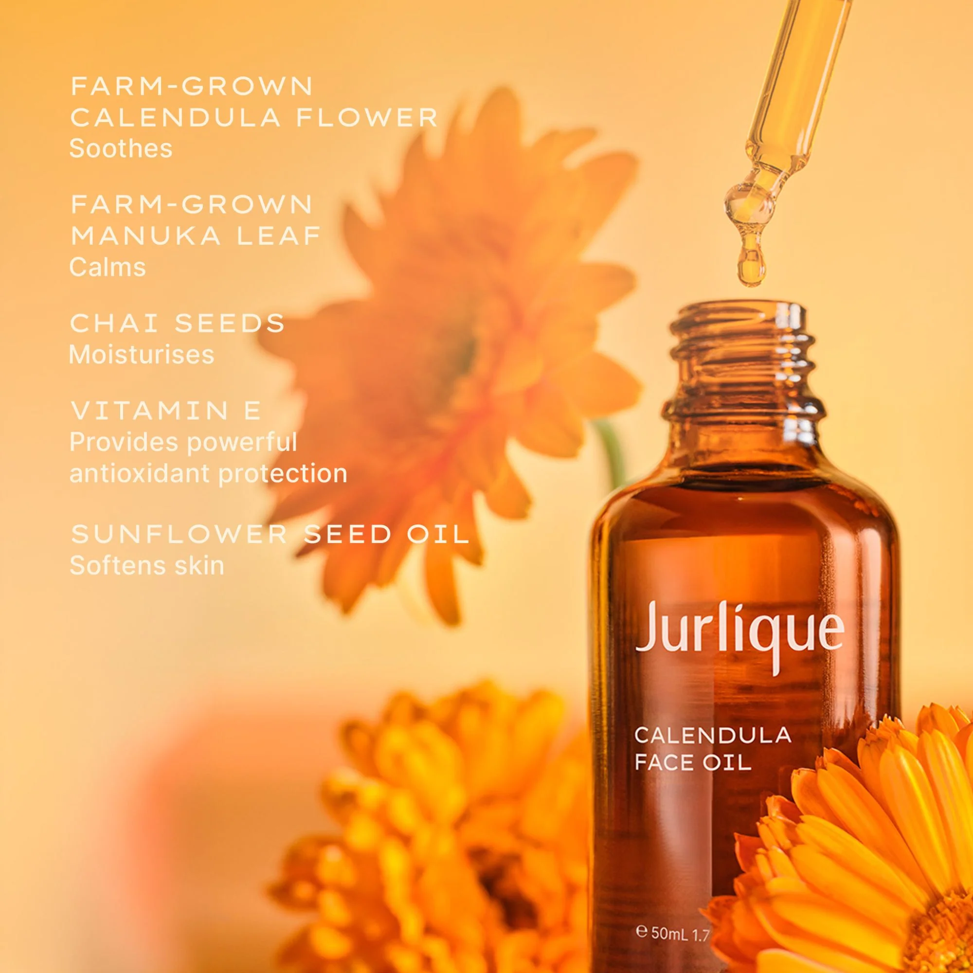 Calendula Face Oil - Image 3