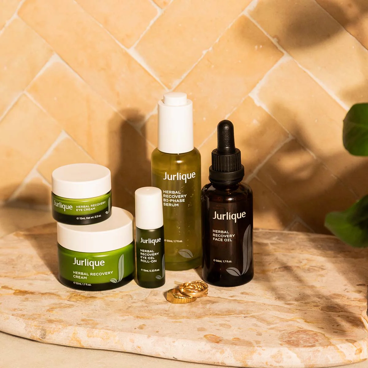 Herbal Recovery Eye Cream - Image 6
