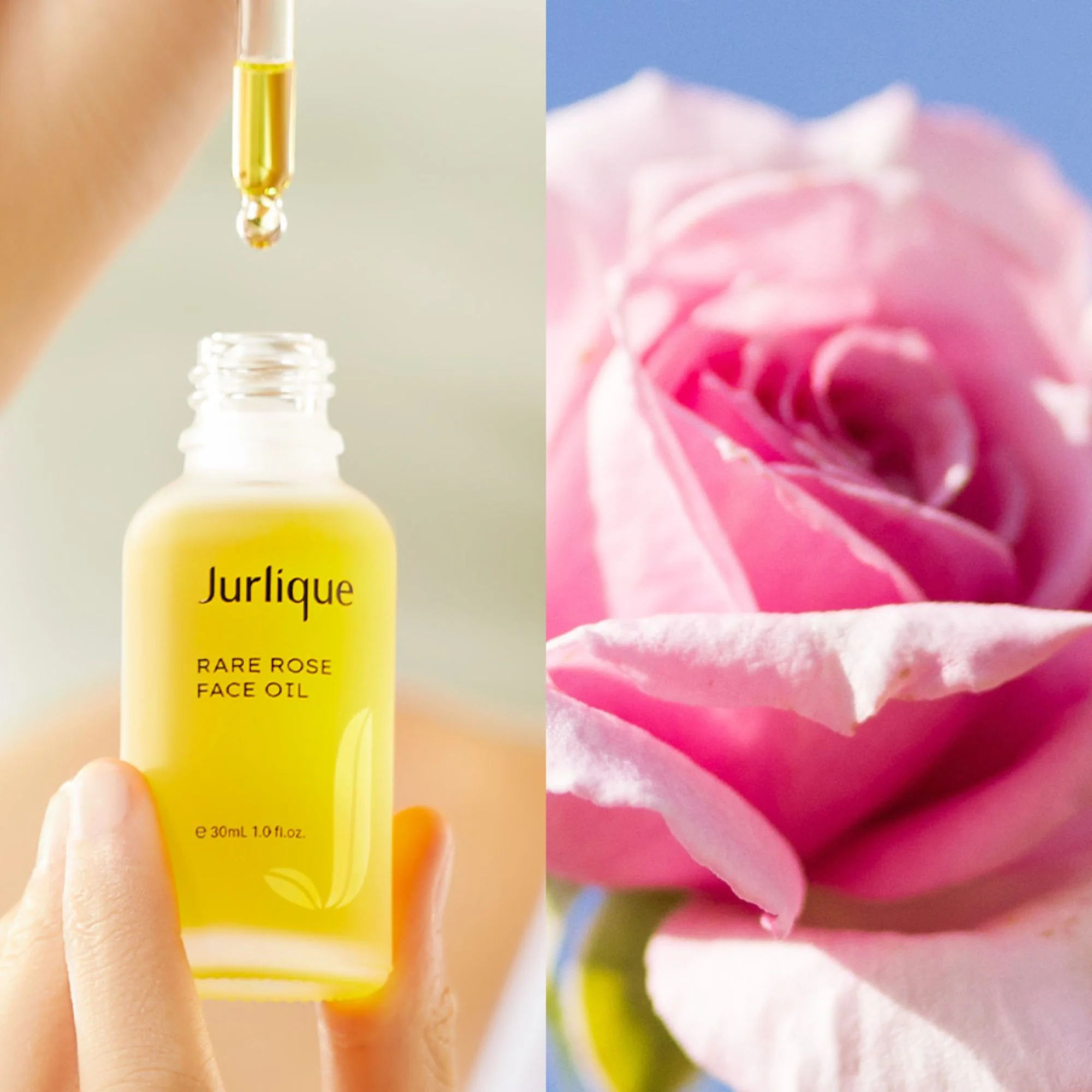 Rare Rose Face Oil - Image 4