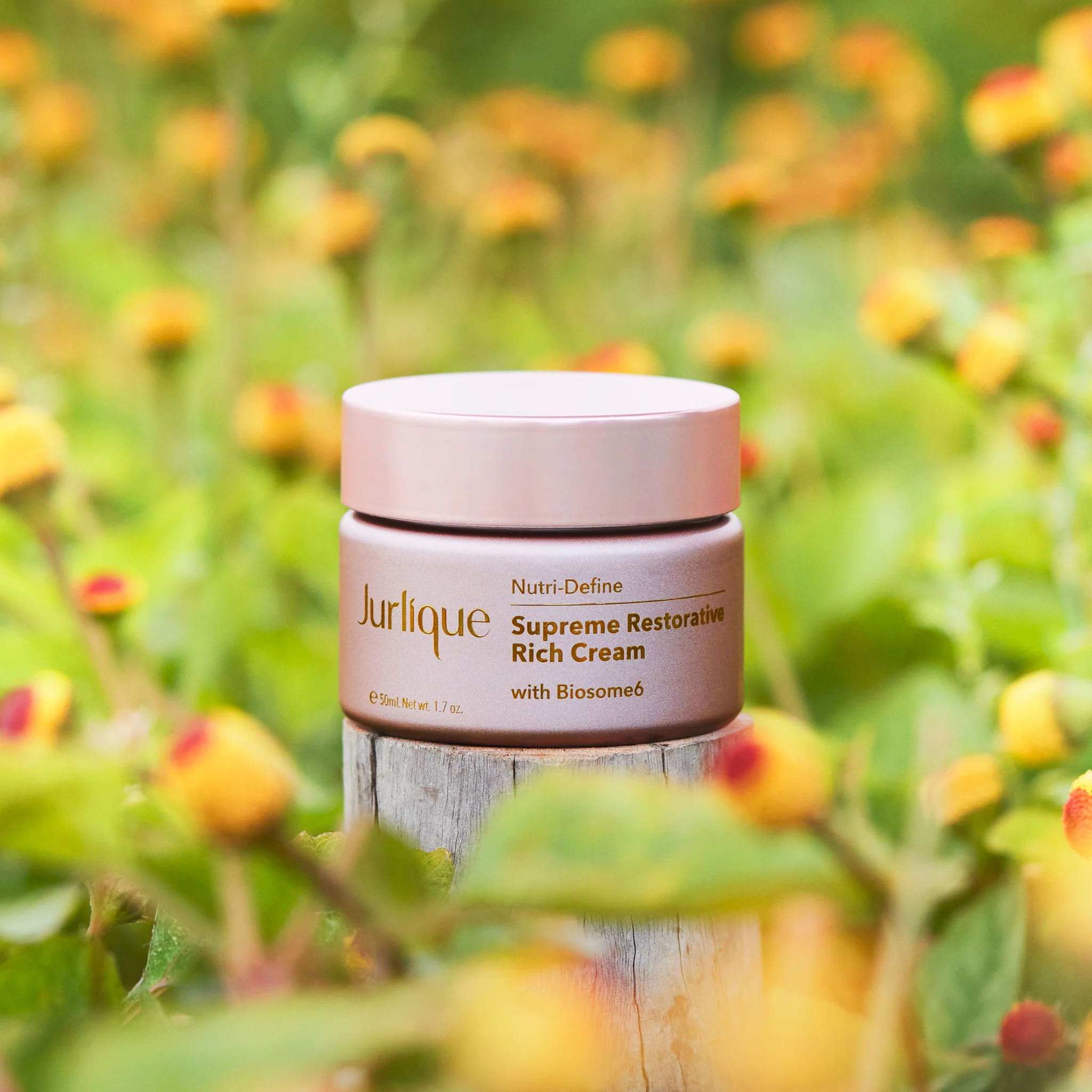 Rejuvenating Duo - Image 7